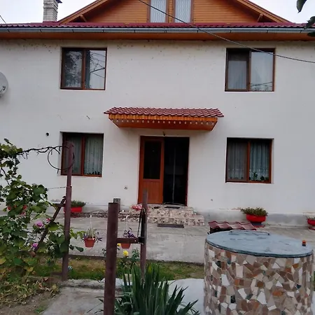Casa Szabo Apartment Vata de Jos